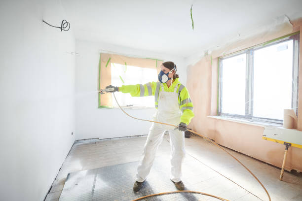 Reliable Quinebaug, CT Mold Removal Solutions