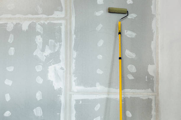 Best Post-Construction Mold Inspection  in Quinebaug, CT