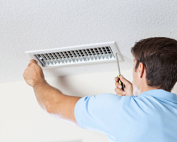 Best Mold Damage Restoration  in Quinebaug, CT